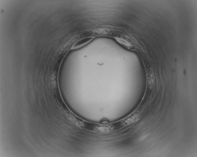 X0000071770466200607211536