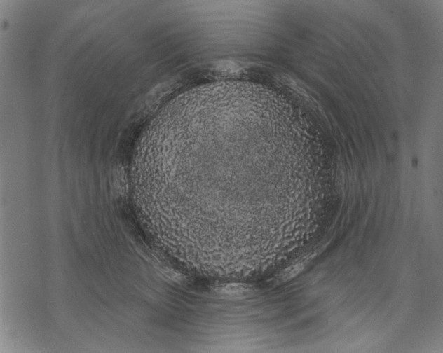 X0000071770467200607211536