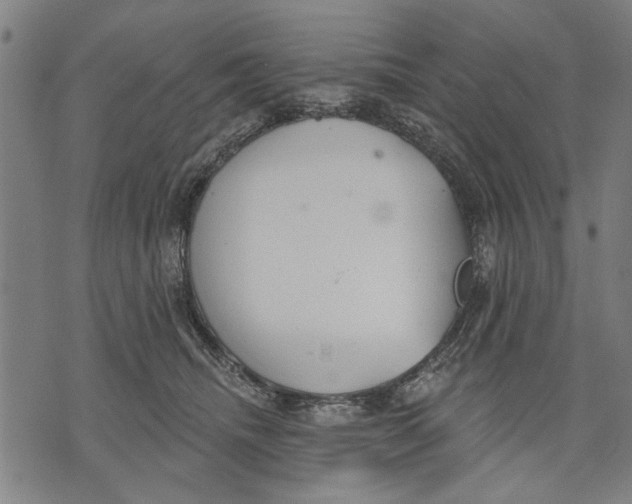 X0000071770468200607211536