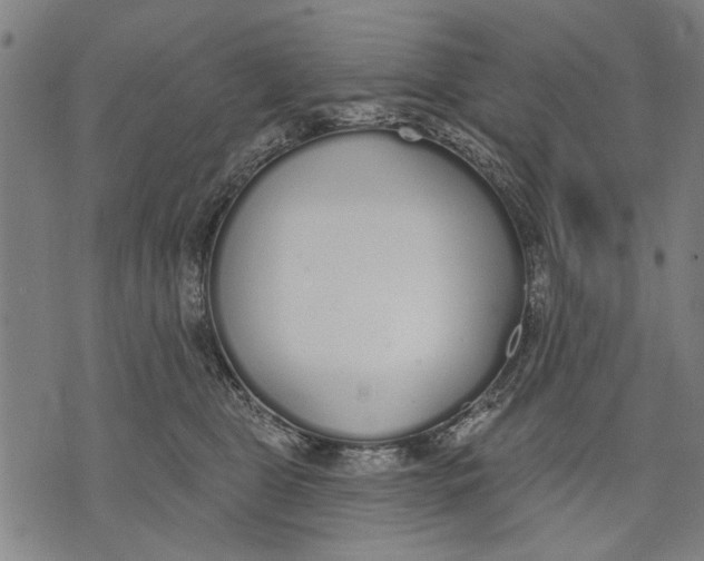 X0000071770469200607211536