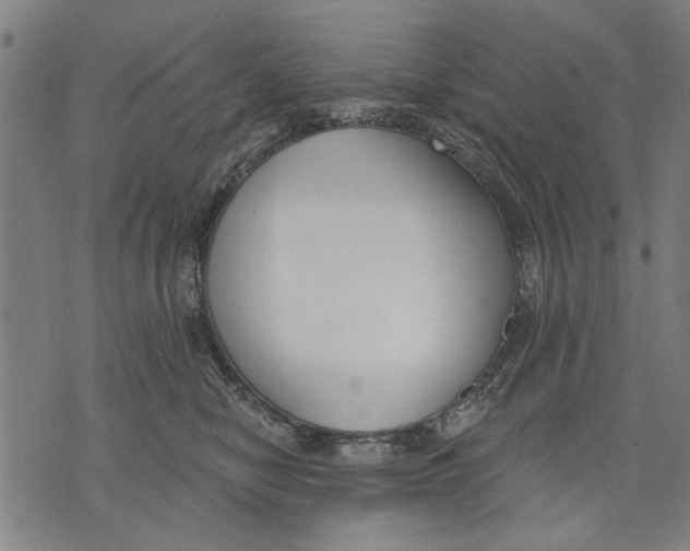 X0000071770470200607211536