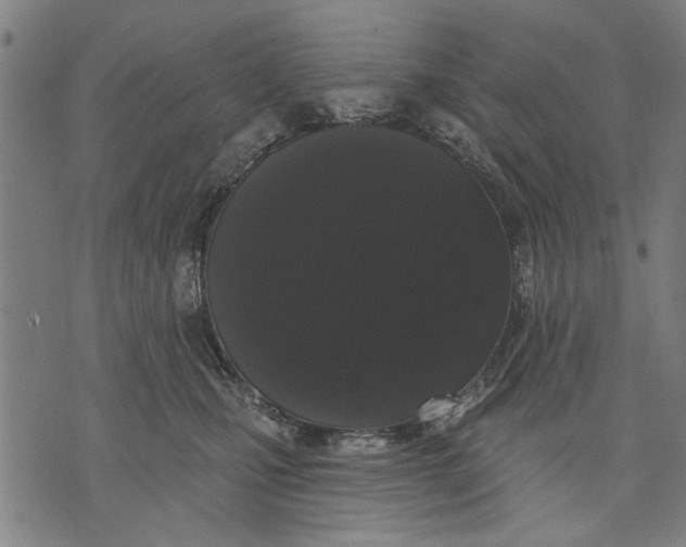 X0000071770471200607211536