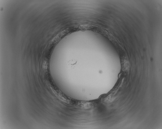 X0000071770472200607211536