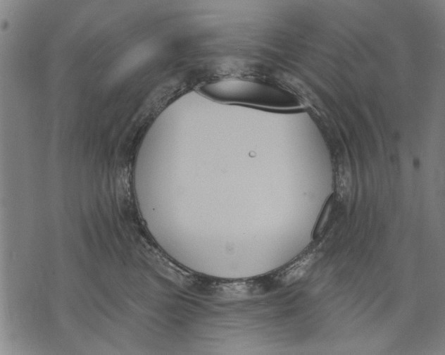 X0000071770473200607211536