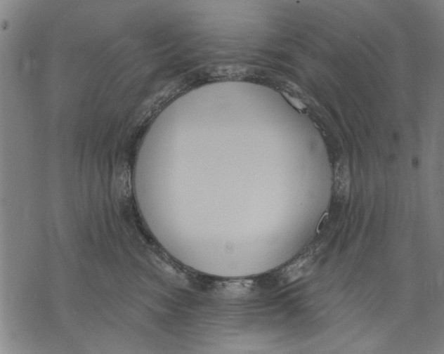 X0000071770474200607211536