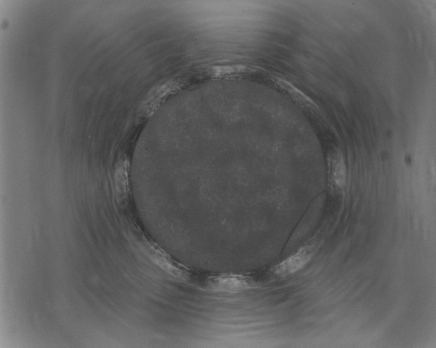 X0000071770475200607211536