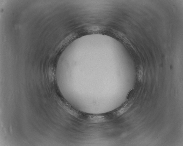 X0000071770476200607211536