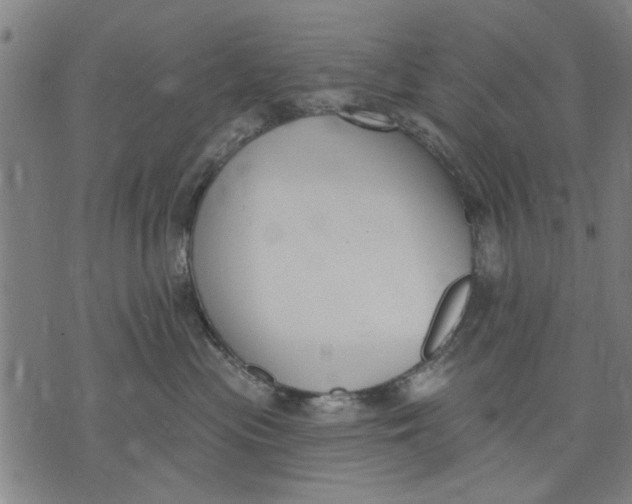 X0000071770477200607211536