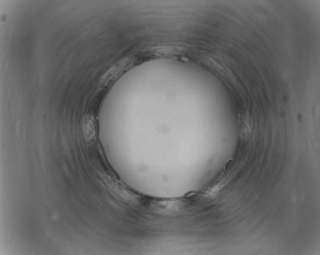 X0000071770478200607211536