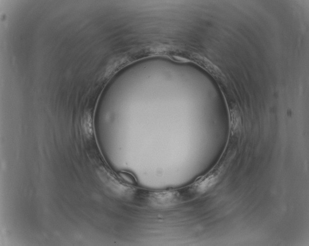 X0000071770479200607211536