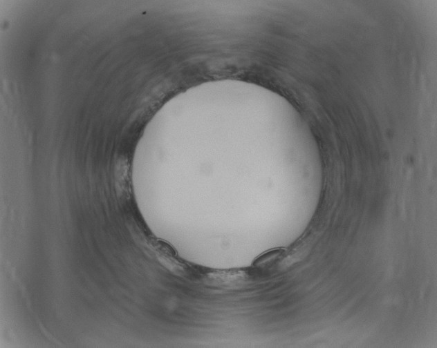 X0000071770480200607211536