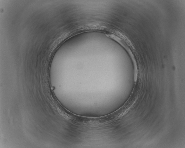 X0000071770481200607211536