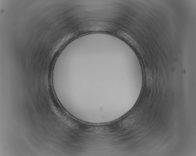 X0000071770482200607211536