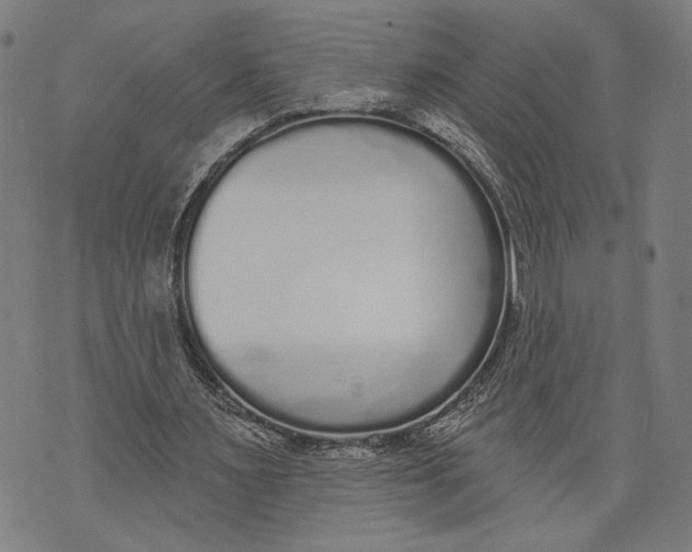 X0000071770483200607211536