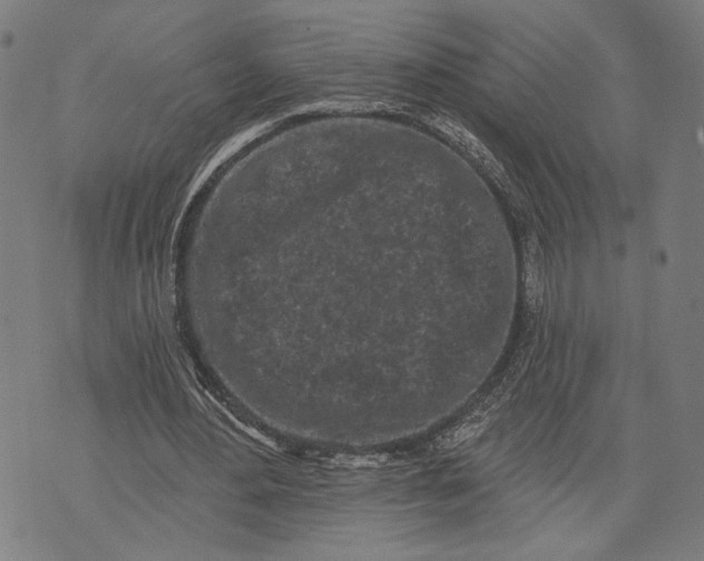 X0000071770484200607211535