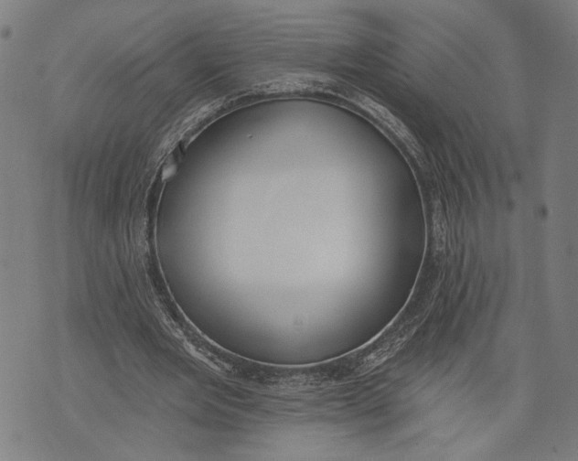 X0000071770485200607211535