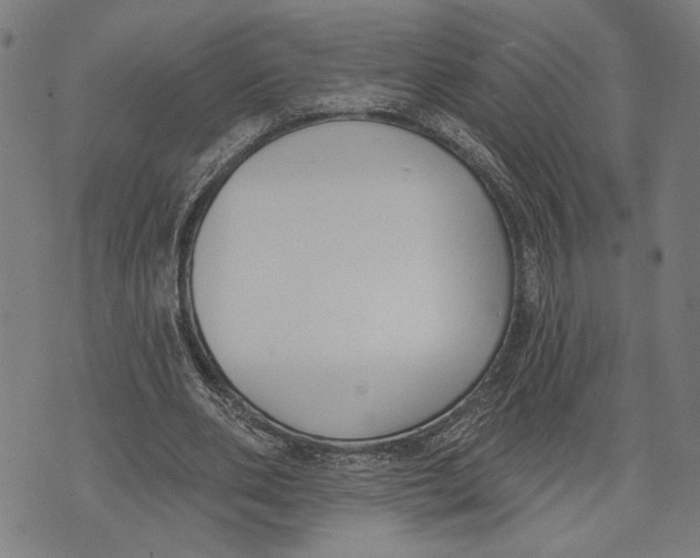 X0000071770486200607211535