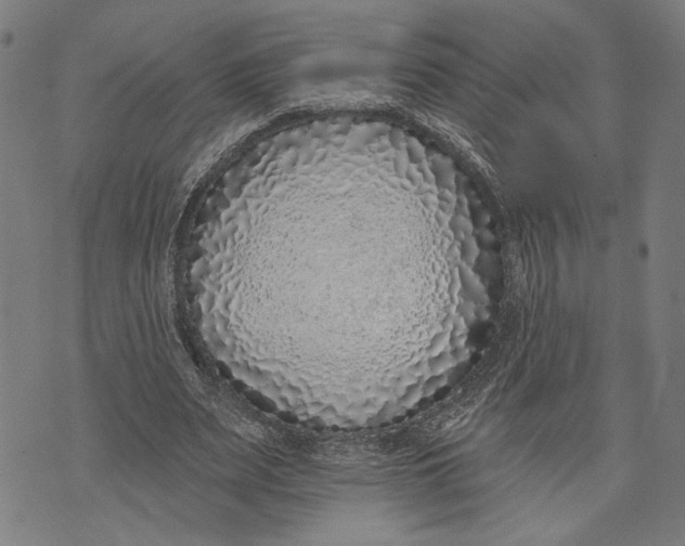 X0000071770487200607211535