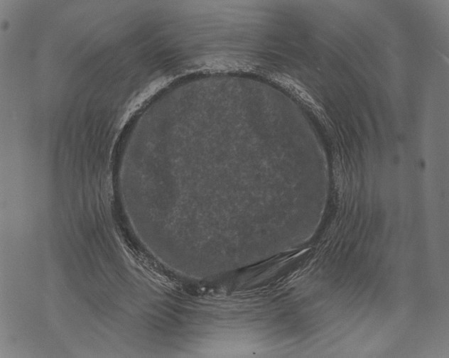 X0000071770488200607211535