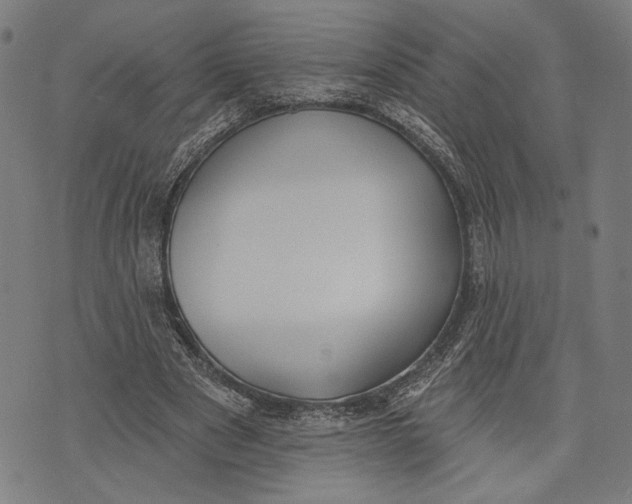 X0000071770489200607211535