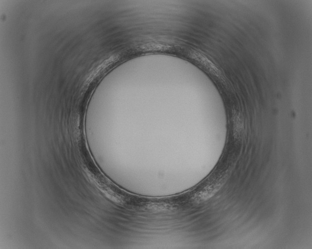 X0000071770490200607211535