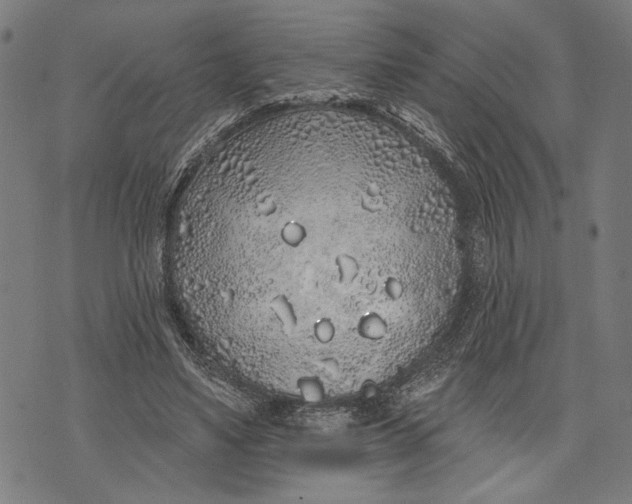 X0000071770491200607211535