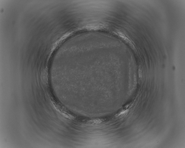 X0000071770492200607211535