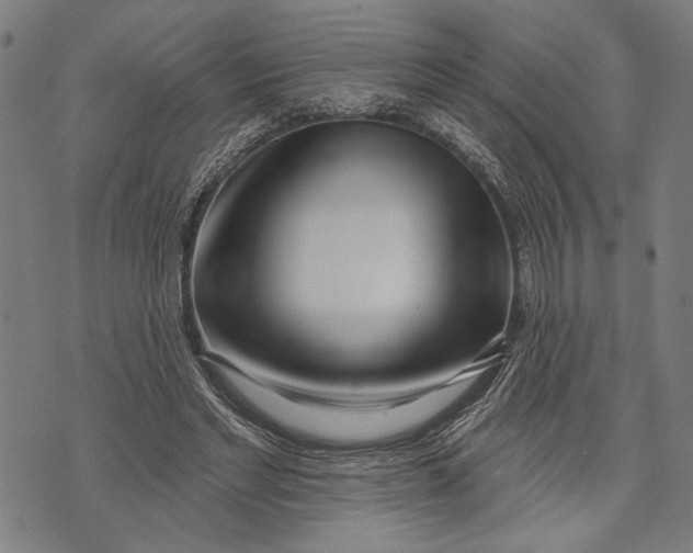 X0000071770493200607211535