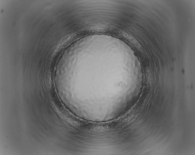 X0000071770494200607211535