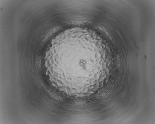 X0000071770495200607211535