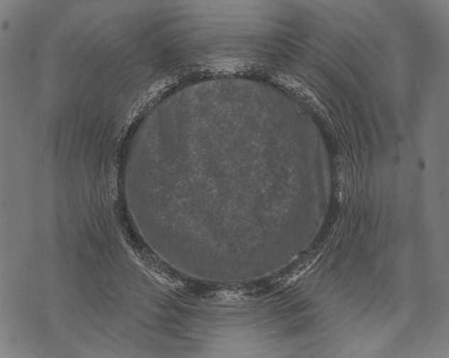 X0000071770496200607211535