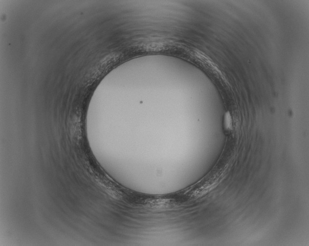 X0000071770497200607211535