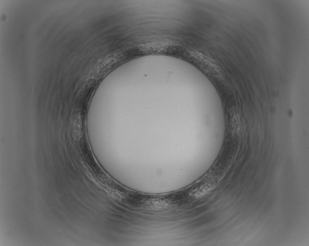 X0000071770498200607211535