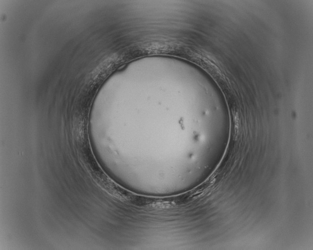 X0000071770499200607211535