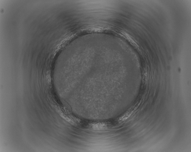 X0000071770500200607211535