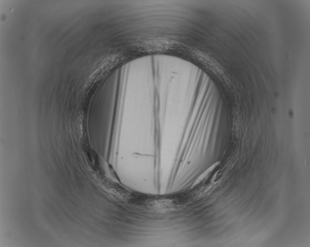 X0000071770501200607211535