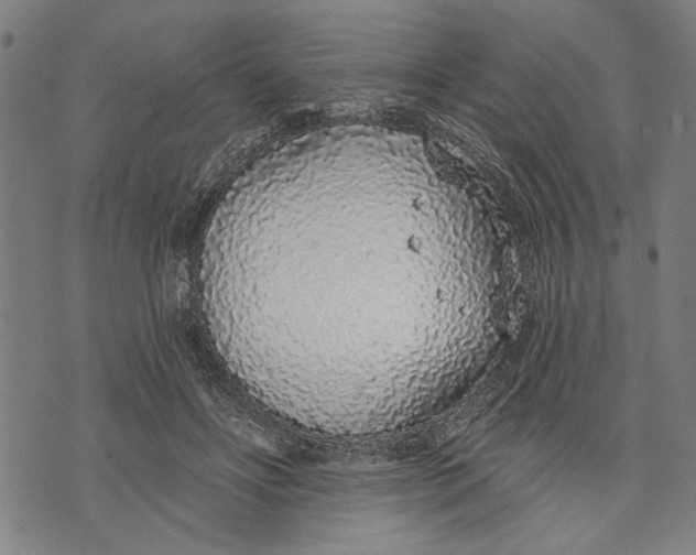 X0000071770502200607211535