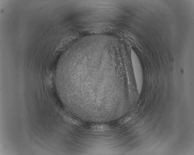 X0000071770503200607211535