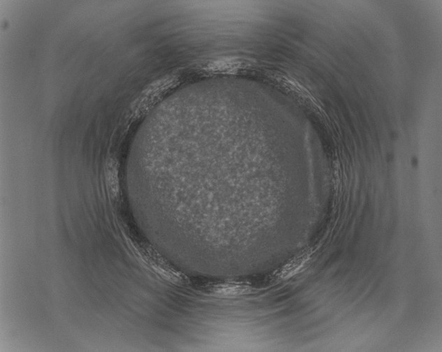 X0000071770504200607211535