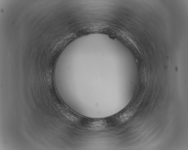 X0000071770505200607211535