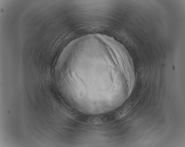 X0000071770506200607211535