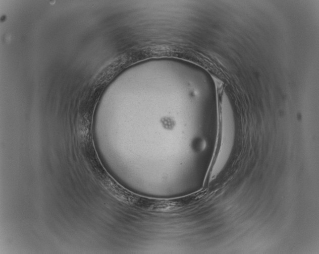 X0000071770507200607211535