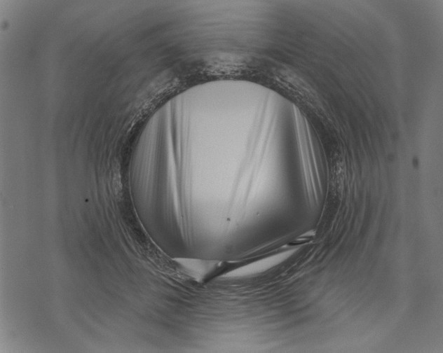 X0000071770508200607211535