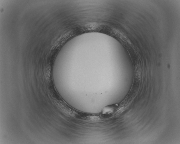 X0000071770509200607211535