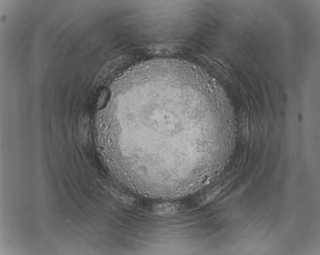 X0000071770511200607211535