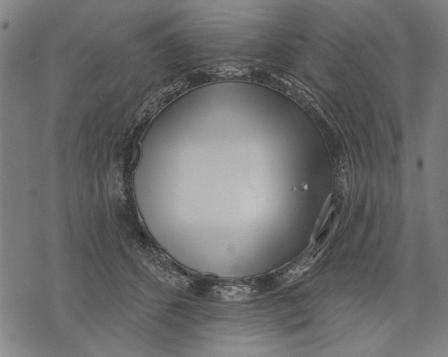 X0000071770512200607211535