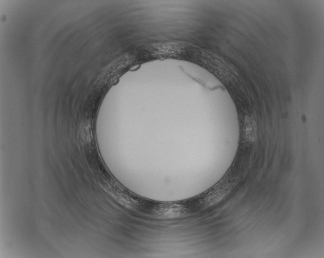 X0000071770514200607211535