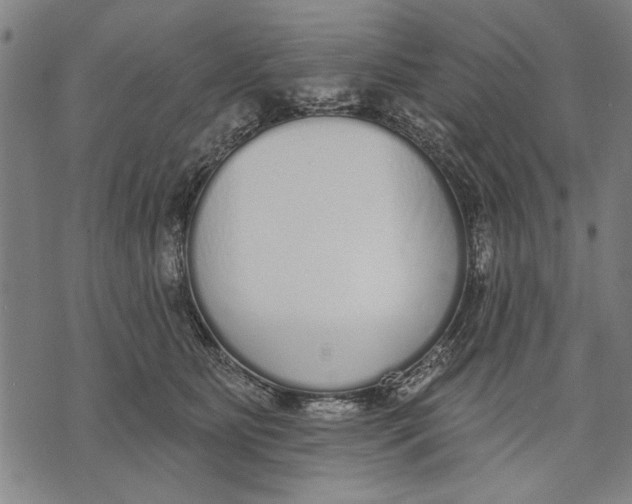 X0000071770515200607211535