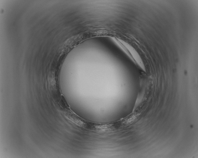 X0000071770516200607211535