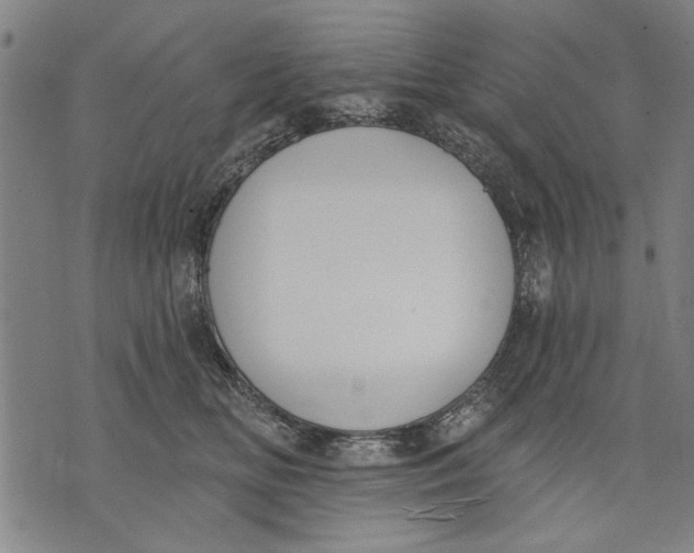 X0000071770518200607211535